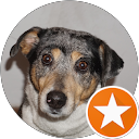 Profilbild von „Alfred kuhlmann“