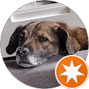 Profilbild von „Michael Ludewig“